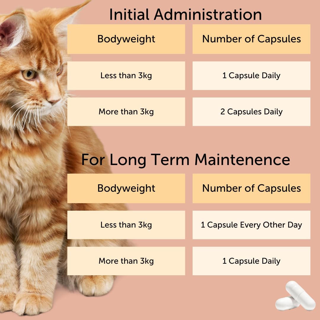 Feliway Cystease dosificación fácil en cada toma.