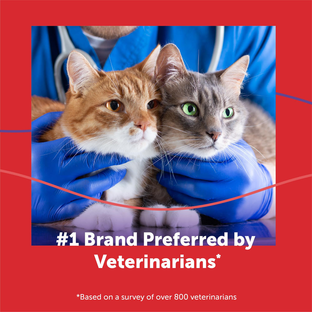 Feliway MultiCat: recomendado por veterinarios y amplia experiencia.