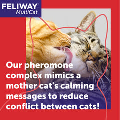 FELIWAY MultiCat calmando gatos en hogares sin fármacos