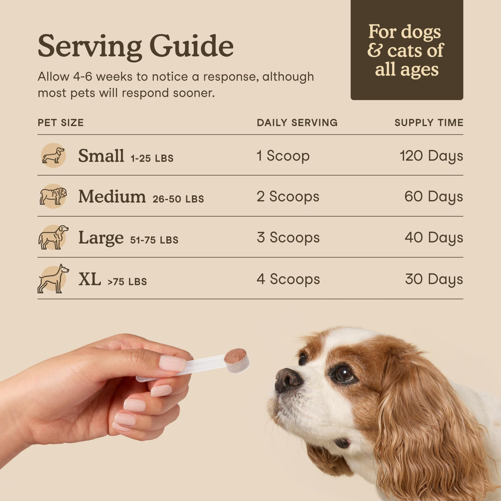 Fera Pets mezcla de hongos orgánicos para apoyar bienestar general