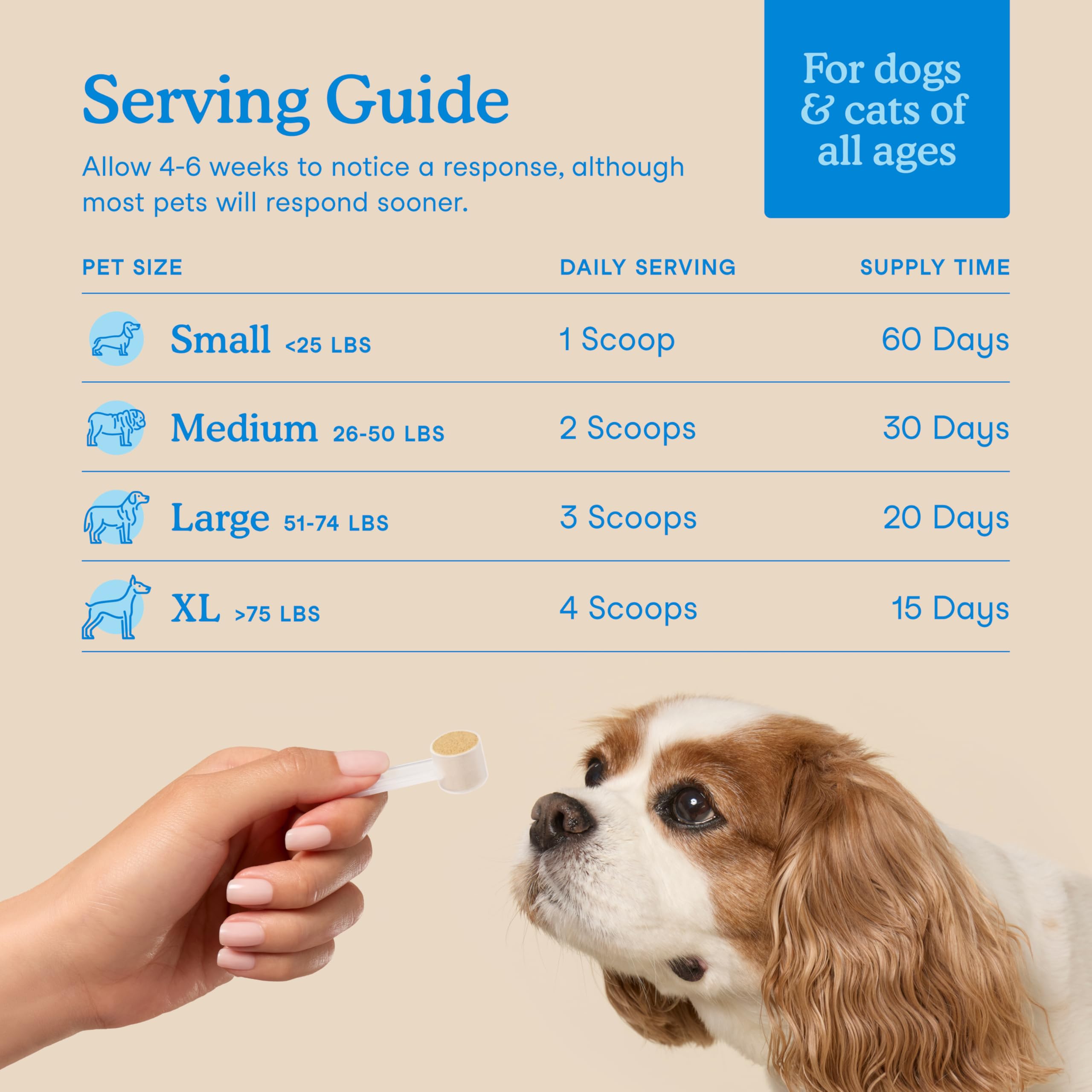 Ingredientes de algas marinas en Fera Pets apoyan dientes y encías