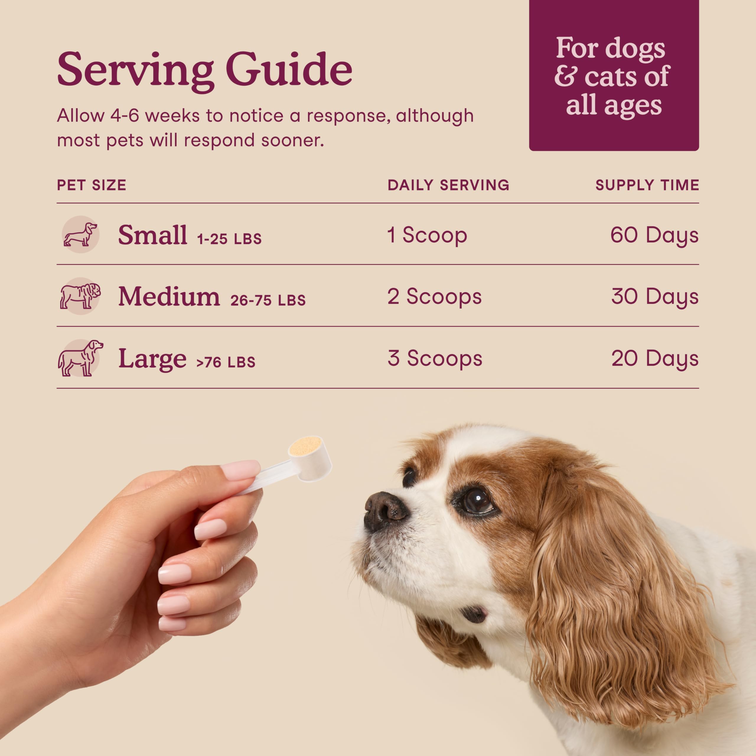 Fera Pets: raíz de malvavisco para una mezcla suave y agradable.