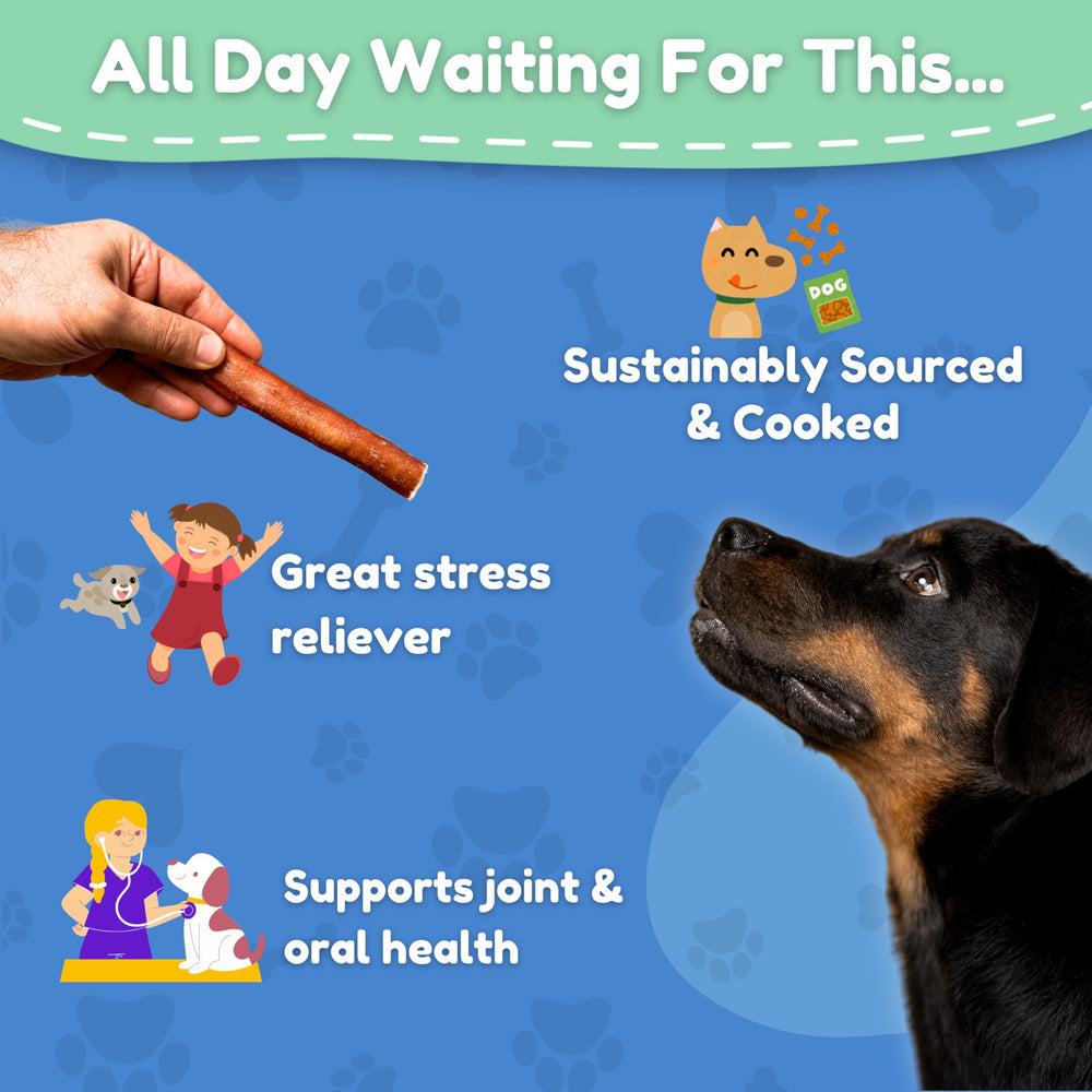 Fetch & Fun Bullysticks alto contenido proteico para perros
