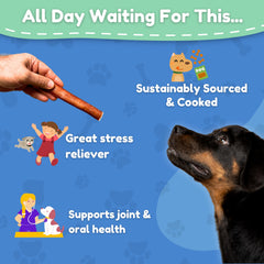 Fetch & Fun Bullysticks alto contenido proteico para perros