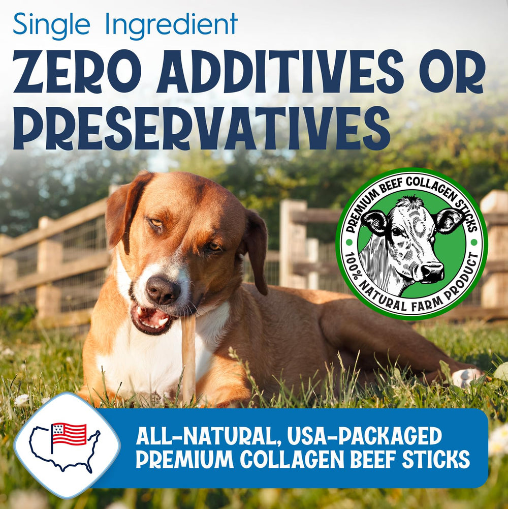 Alternativa sin piel cruda para perro, palitos de colágeno Fetcheron