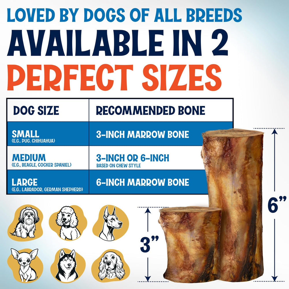 Fetcheroni hueso para denticion de cachorros, ideal para juego y masticación segura.