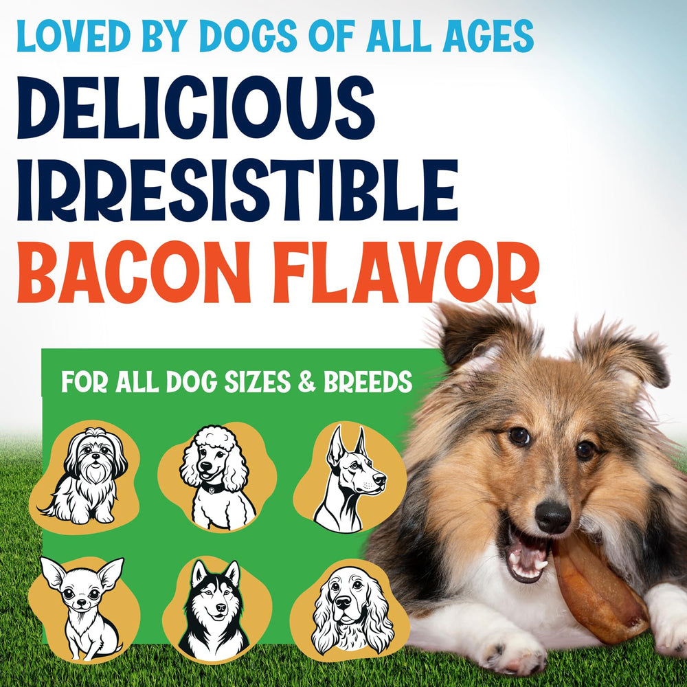 Fetcheroni orejas de puerco grandes: snack natural que encanta a perros grandes
