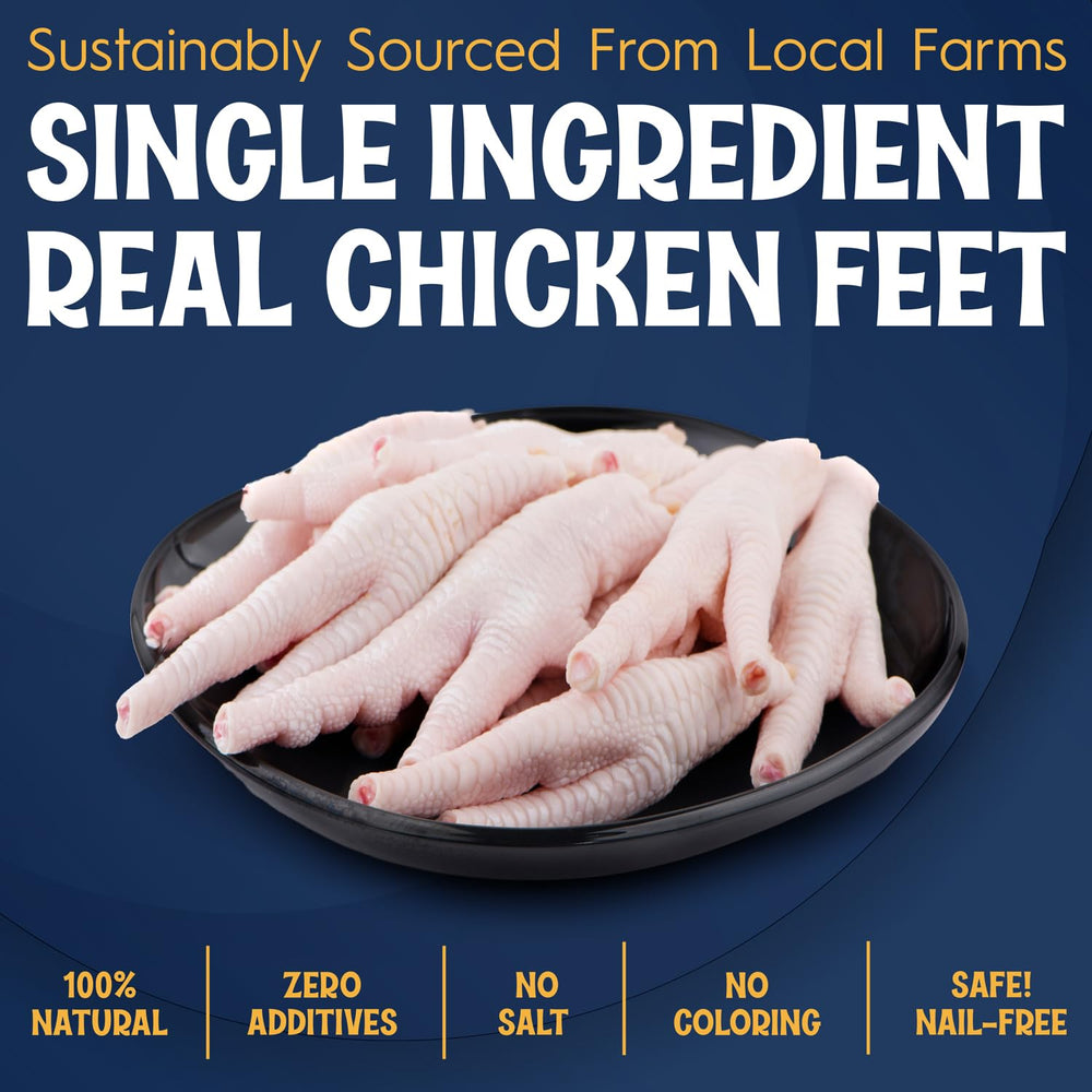 Fetcheroni patitas de pollo dental para higiene bucal