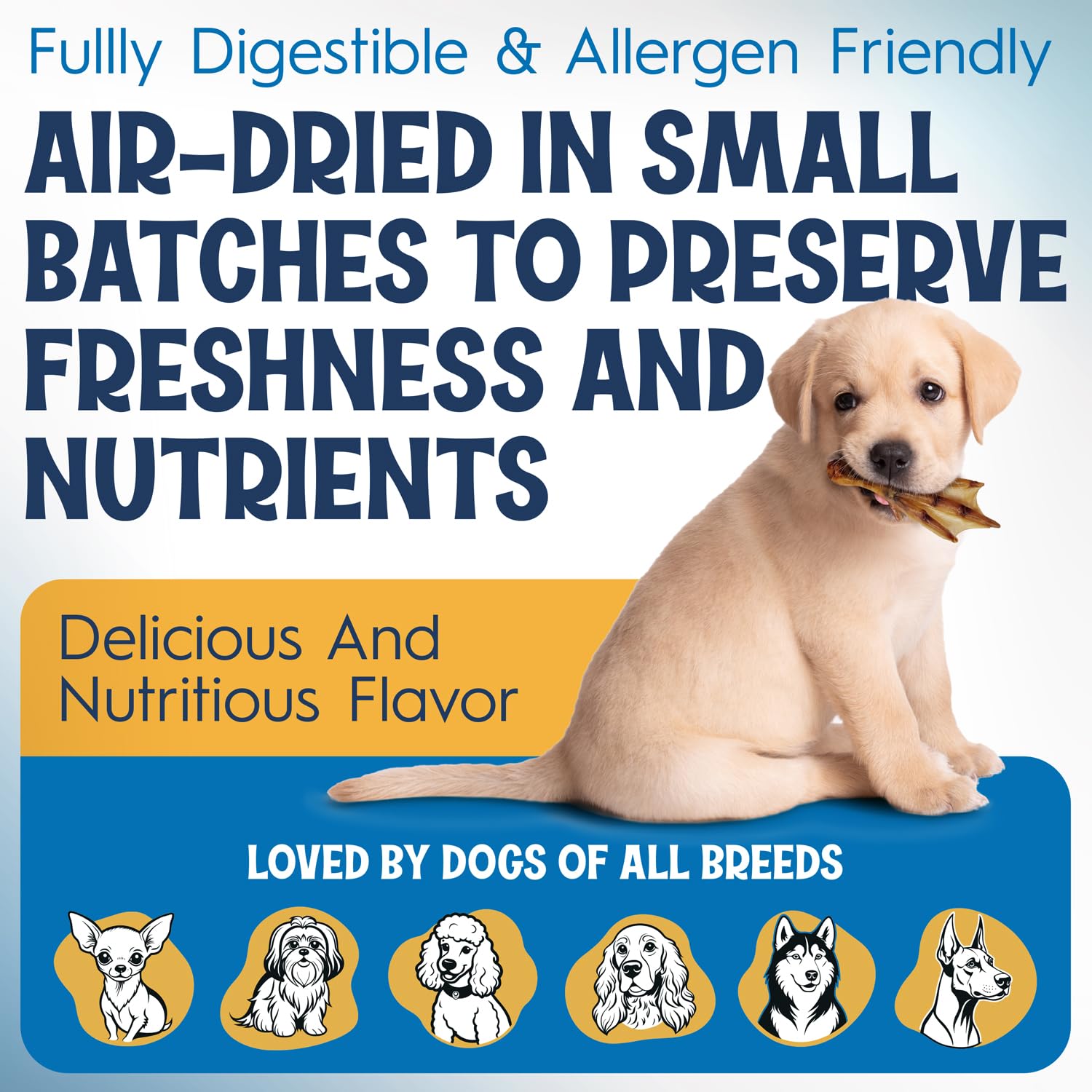 Fetcheron i salud dental con patitas de pato, masticación saludable para perros.