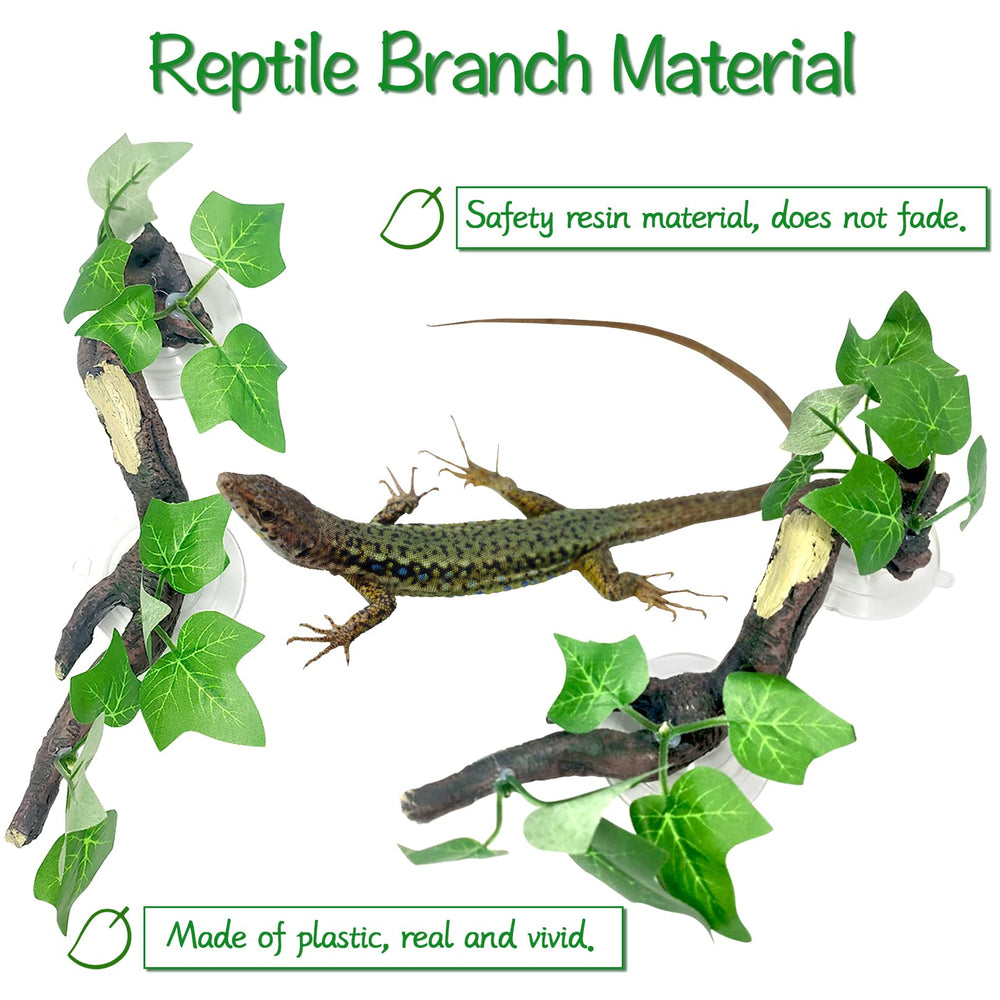 Zona de escalada para reptiles Fhiny, ideal para trepar y ejercitar.