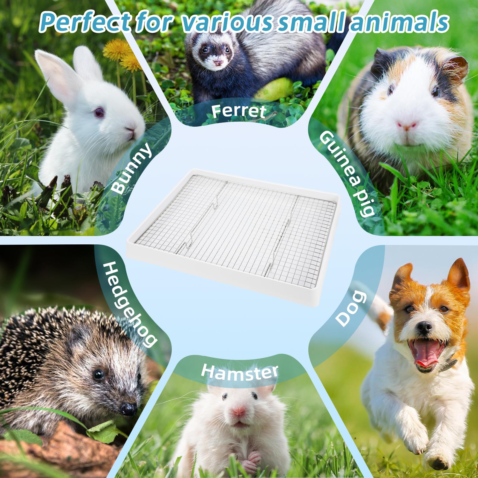 FHTONGE control de olores al usar absorbentes y polvo carbonatado