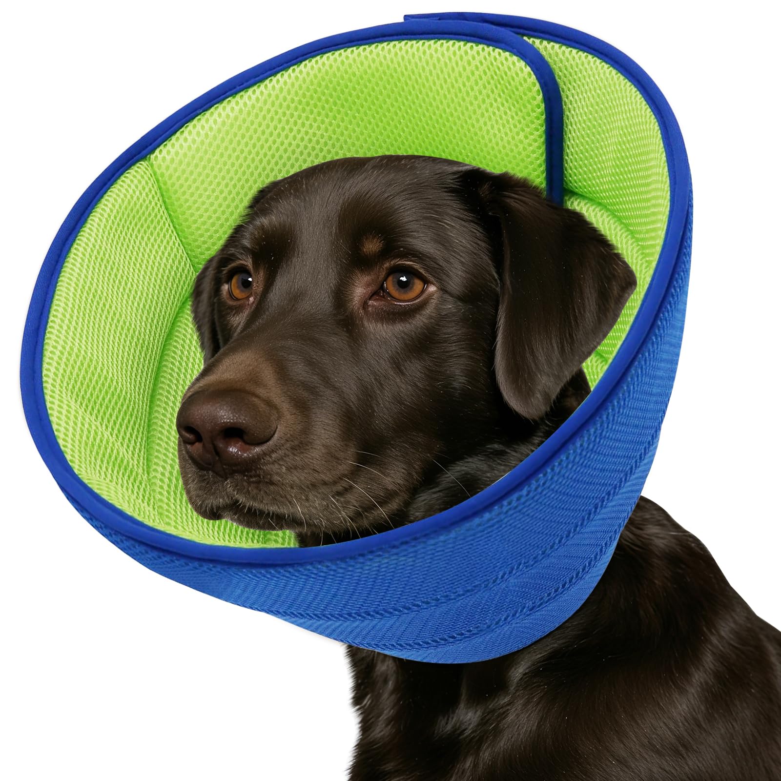 Cono suave de Fickte para perro con ajuste cómodo y postoperatorio