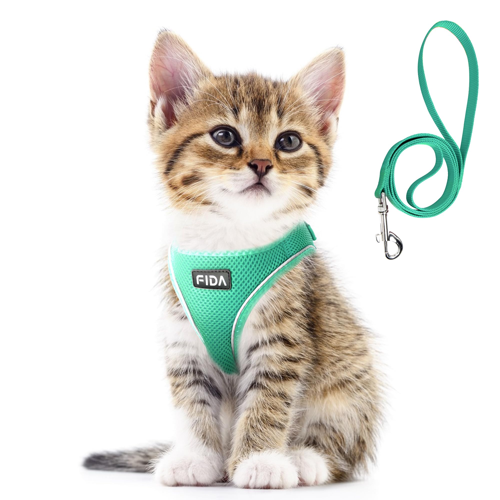 Gato con arnés Fida verde XXS en uso para paseo cómodo y seguro.