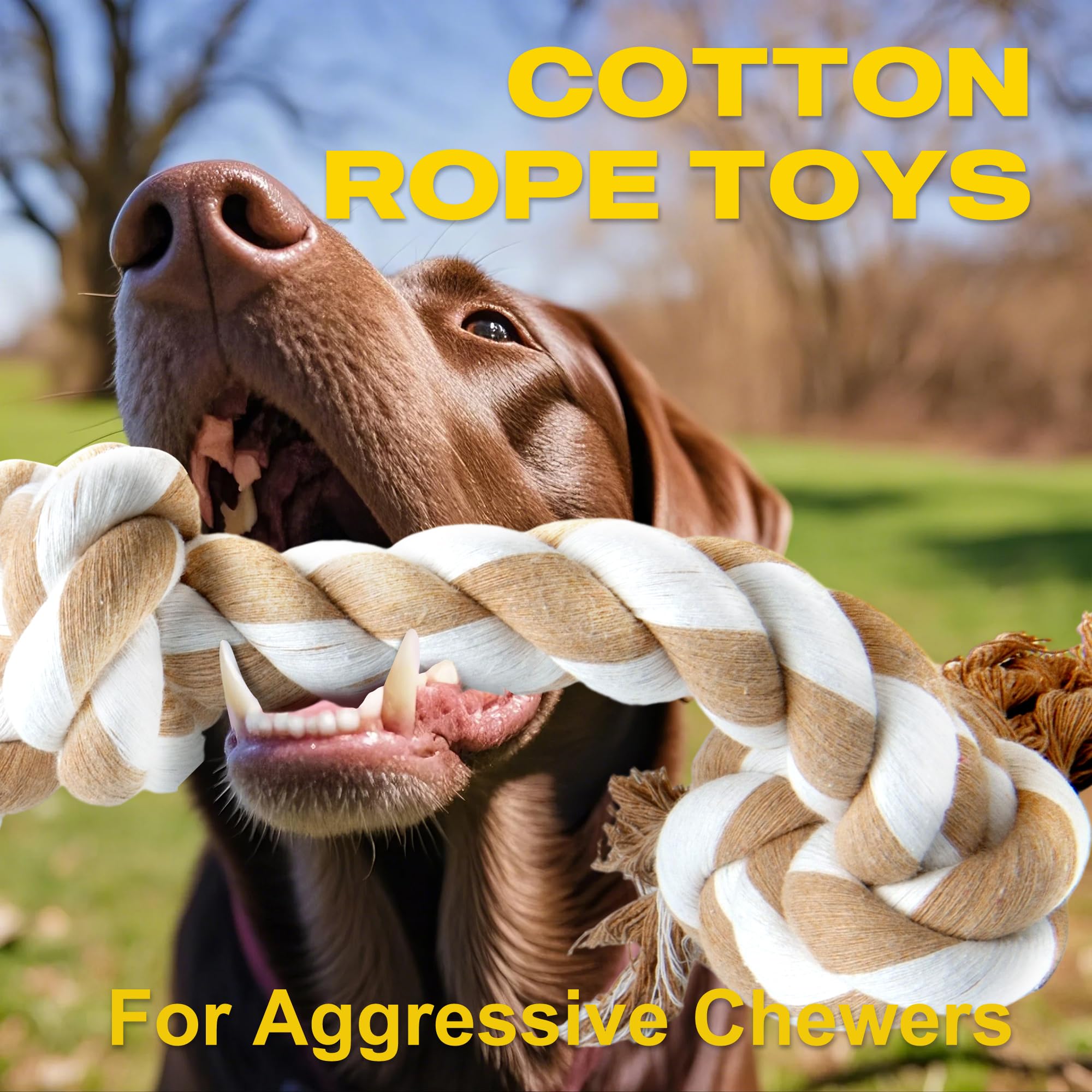 Cuerda resistente Fida para perros grandes, juego duradero