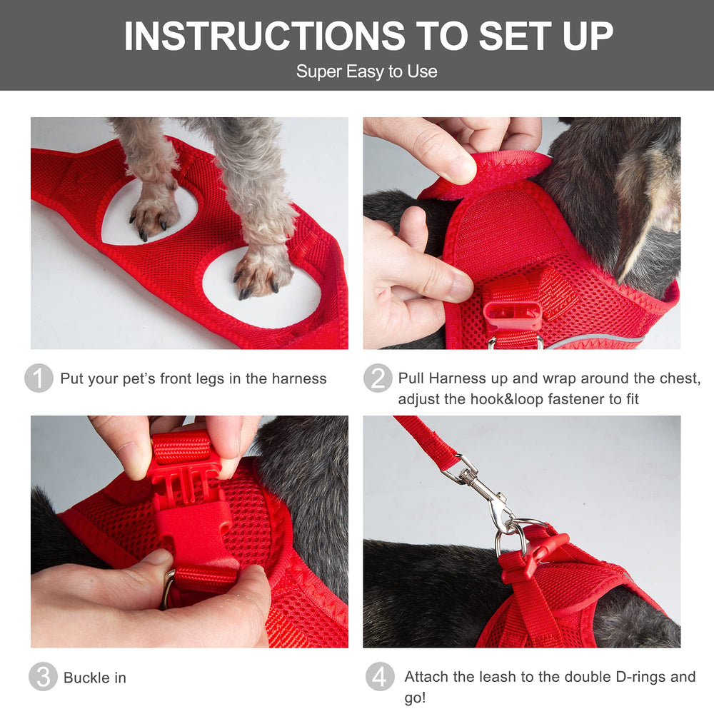 Design Step-In Fida, mise en place rapide pour chat et chiot.