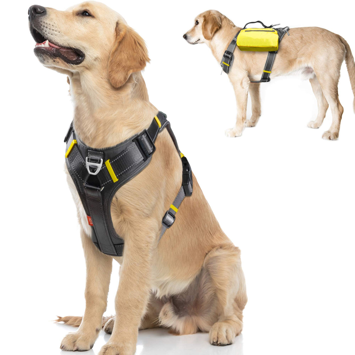 Fida Harness mochila oculta para perro, ideal para paseos largos con snacks.