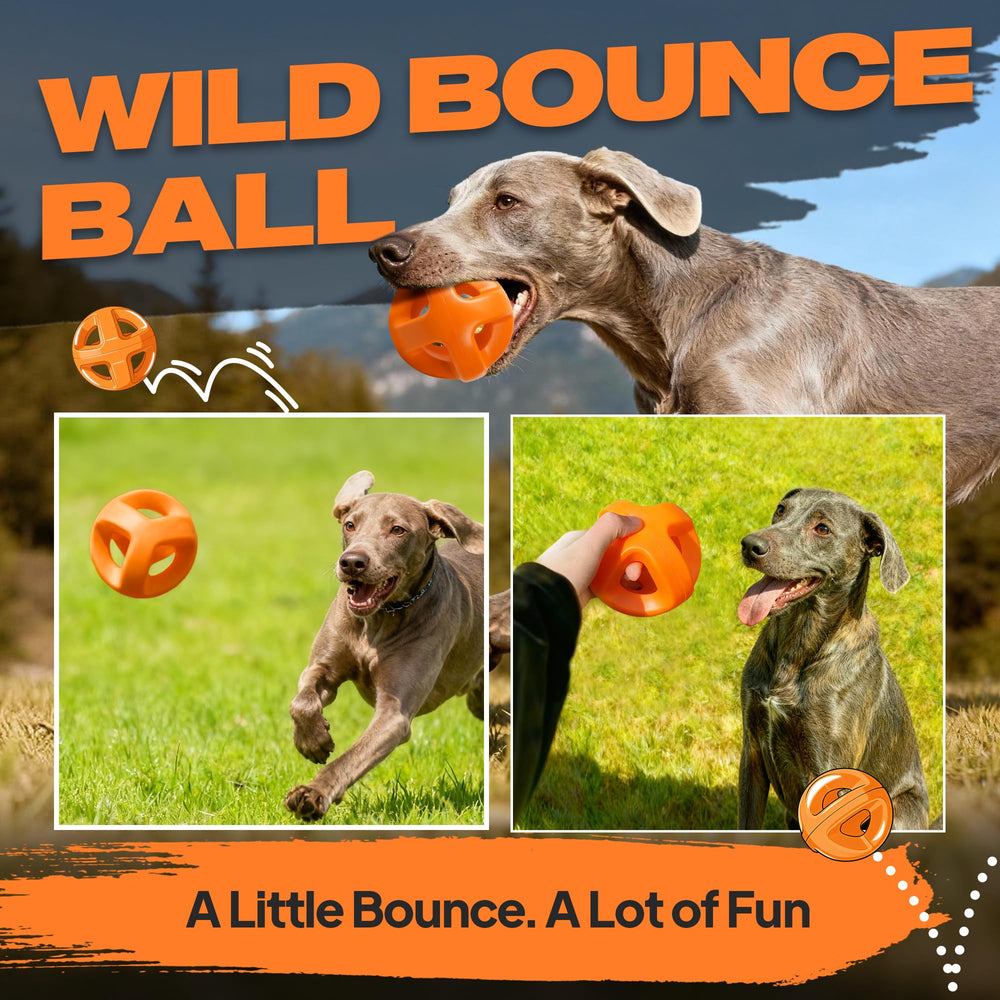 Pelota grande Fida para buscar y tirar, juguete interactivo para perros grandes.