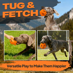 La pelota grande Fida ofrece rebotes dinámicos para sesiones de fetch prolongadas.