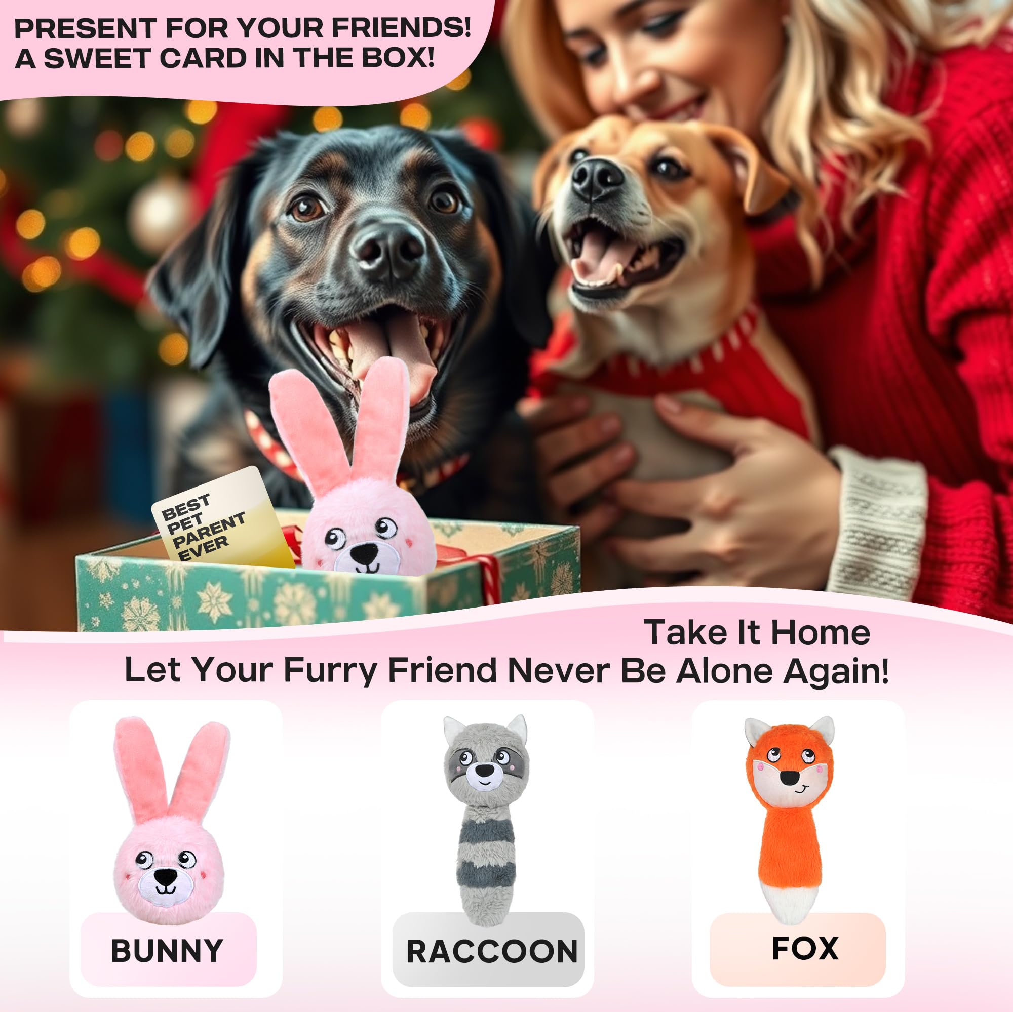 Regalo Fida con tarjeta de saludo incluida para sorprender a tu perro