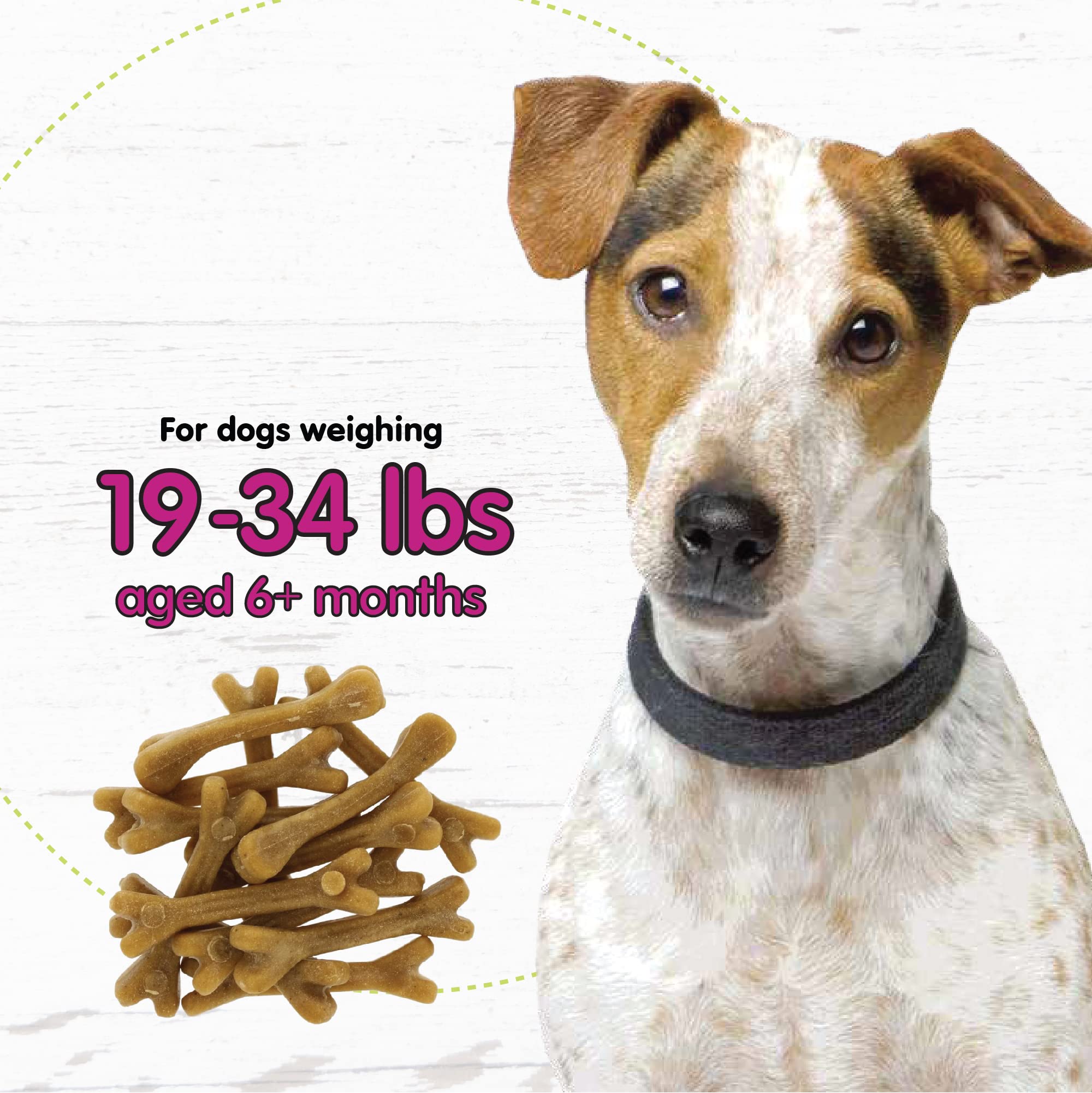 Fido Belly Bone con prebióticos y probióticos para digestión.