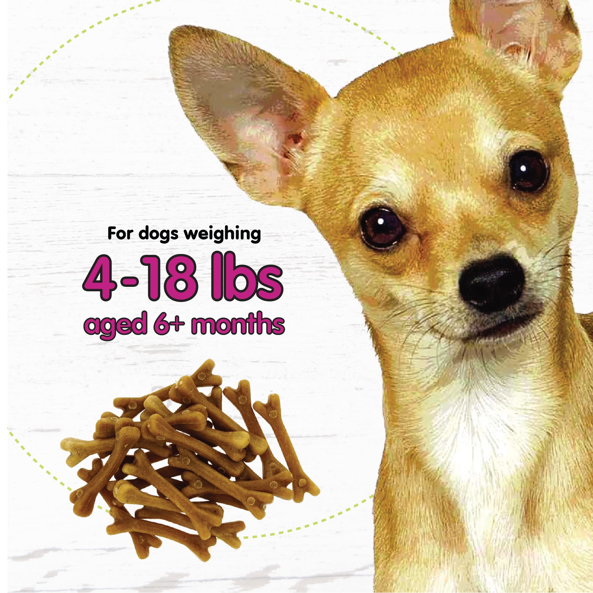 Con prebióticos y probióticos para apoyar la digestión en perros pequeños.