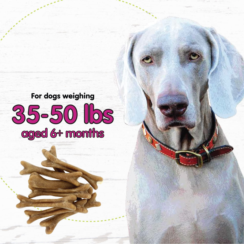 Para perros medianos de 25 a 50 lb, beneficios dentales y digestivos.