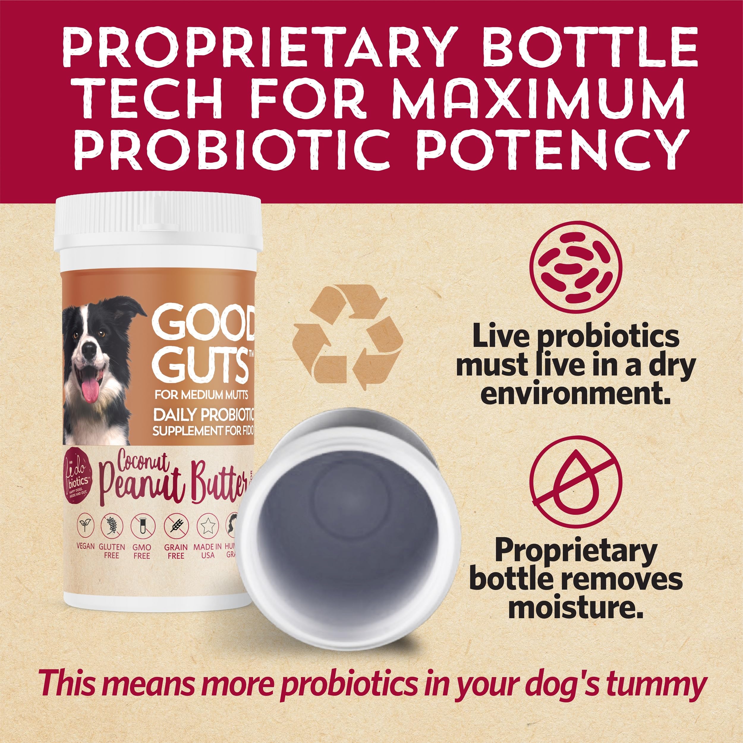 Mezcla Fidobiotics Good Guts con la comida diaria del perro