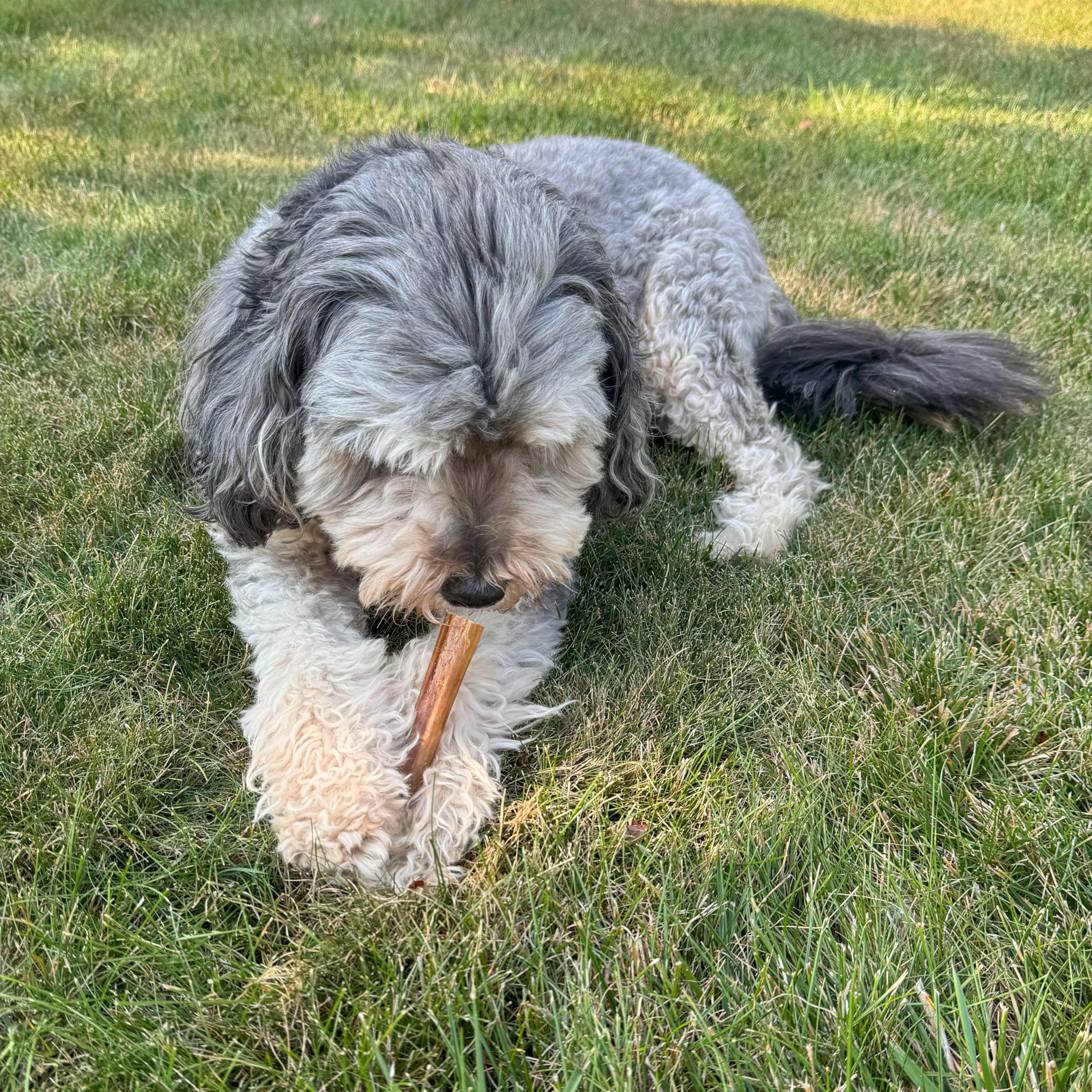 Fieldcrest Farms snack natural para perros sin aromas artificiales.