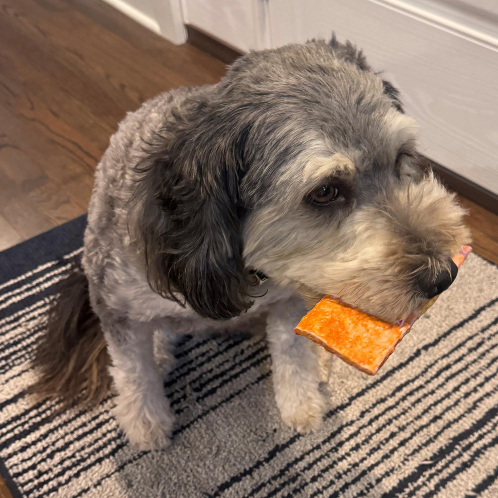 Fieldcrest Farms Nothin' to Hide Flip Chips, opción diaria para ocupar al perro con gusto.