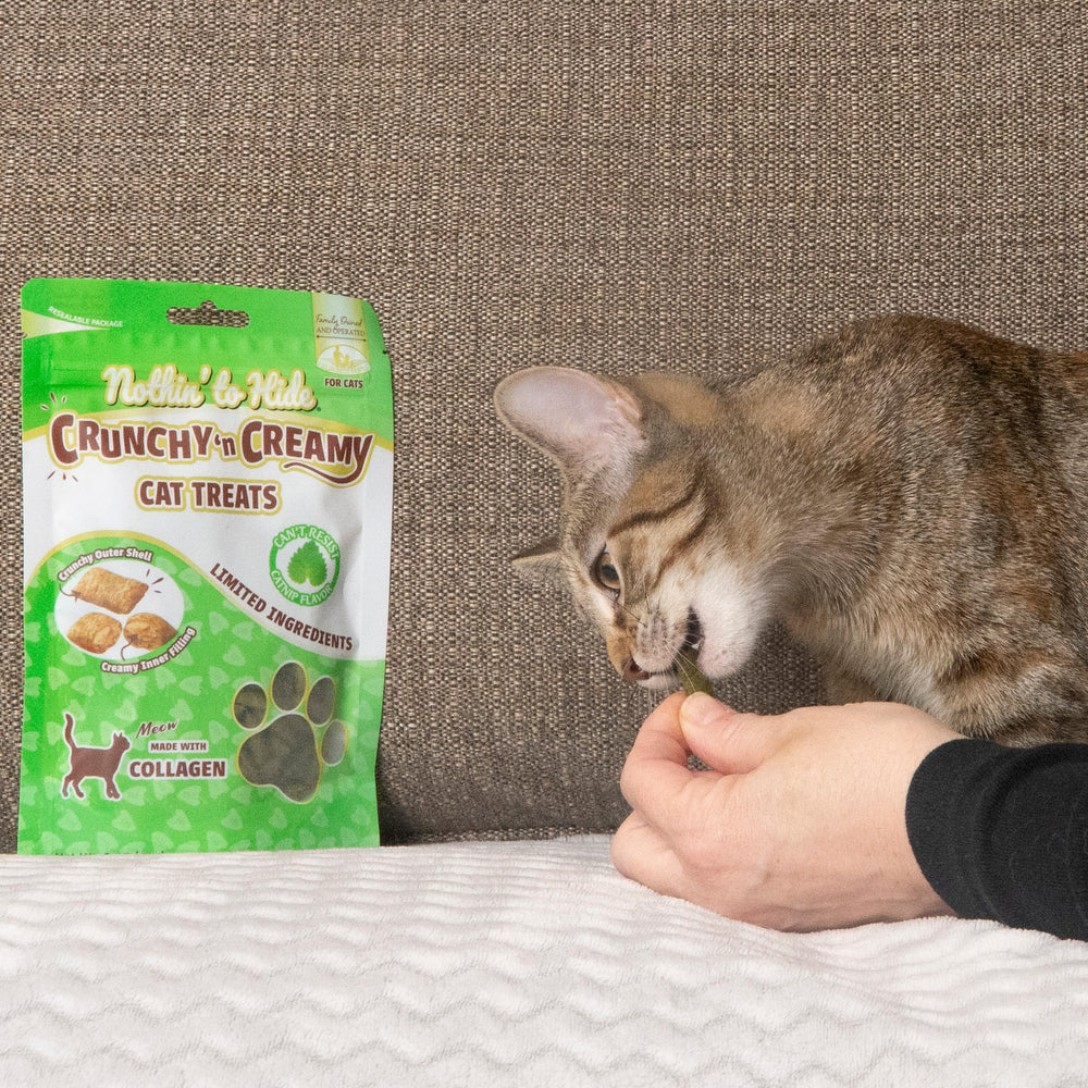 Fieldcrest Farms Nothin’ to Hide: juego interactivo con tu gato