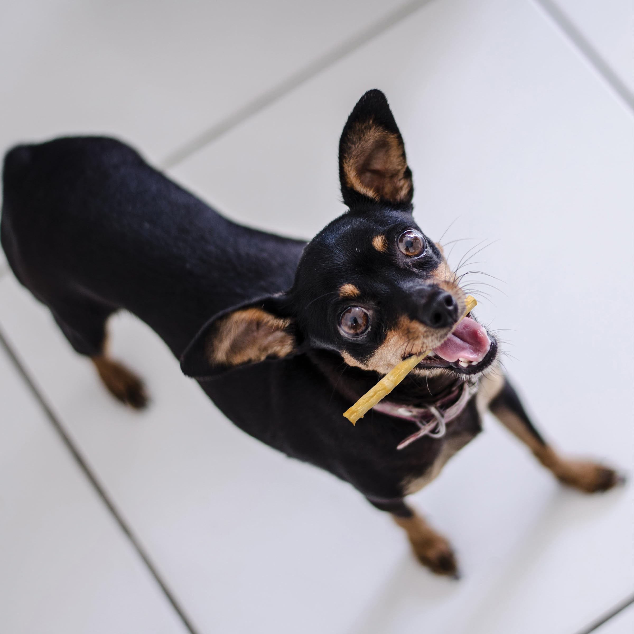 Fieldcrest Farms Nothin' to Hide Twist Stix colágeno humano de calidad para pelaje