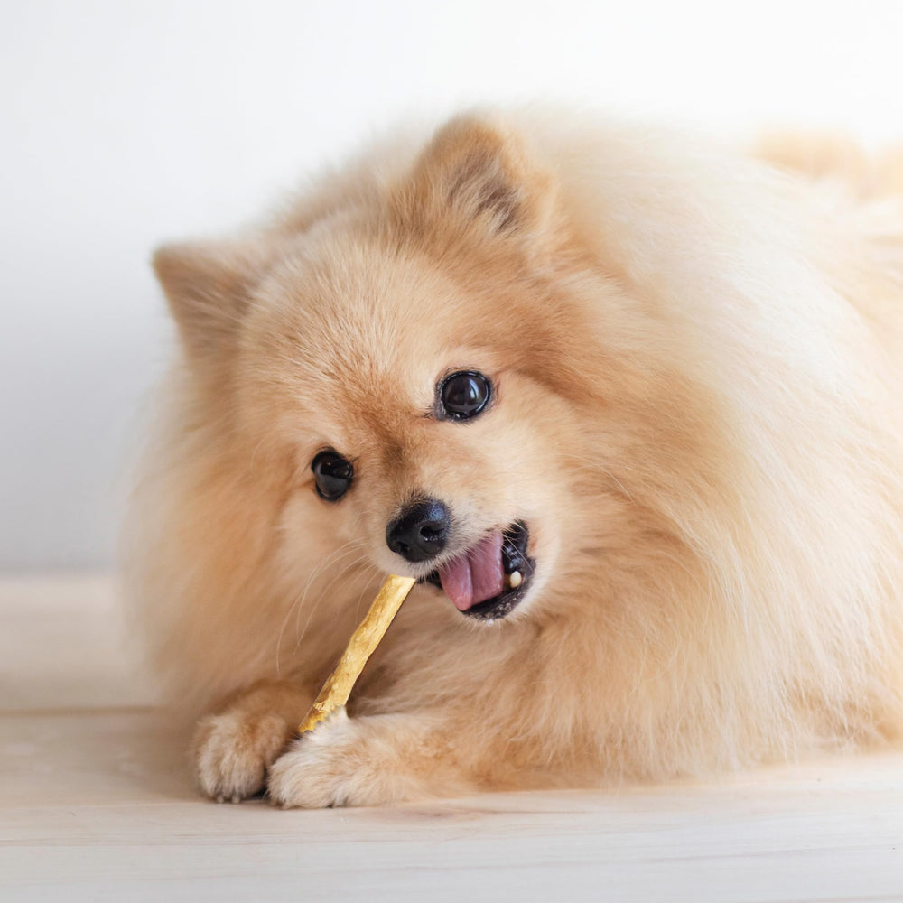 Fieldcrest Farms Nothin' to Hide Twist Stix, masticación segura, ideal como snack proteico.