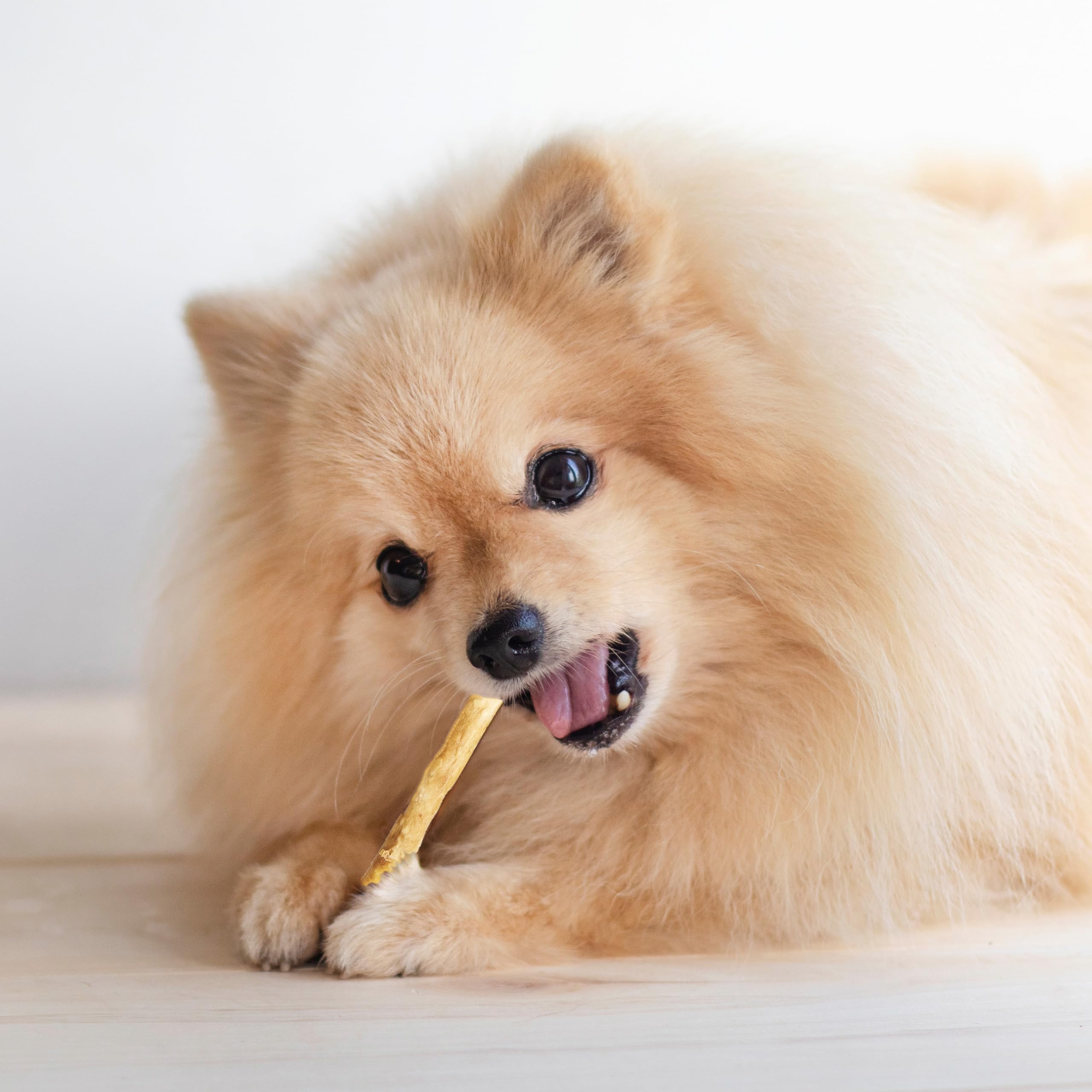 Fieldcrest Farms Nothin' to Hide Twist Stix para perros pequeños, 10 piezas.