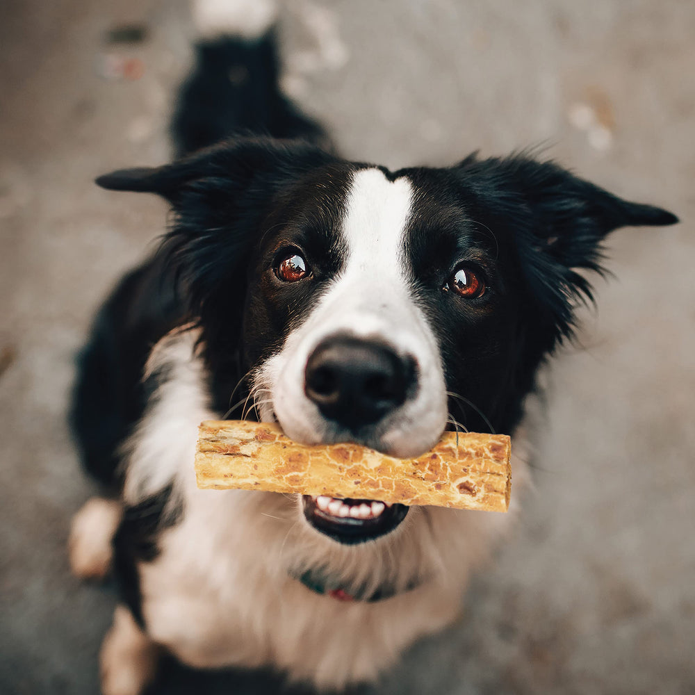 Fieldcrest Farms rollos res naturales, ideal para perros hasta 16 kg