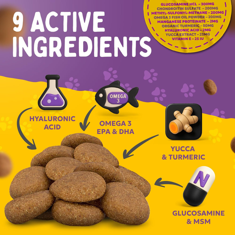 Finest For Pets: aceite de pescado EPA/DHA para movilidad en perros.