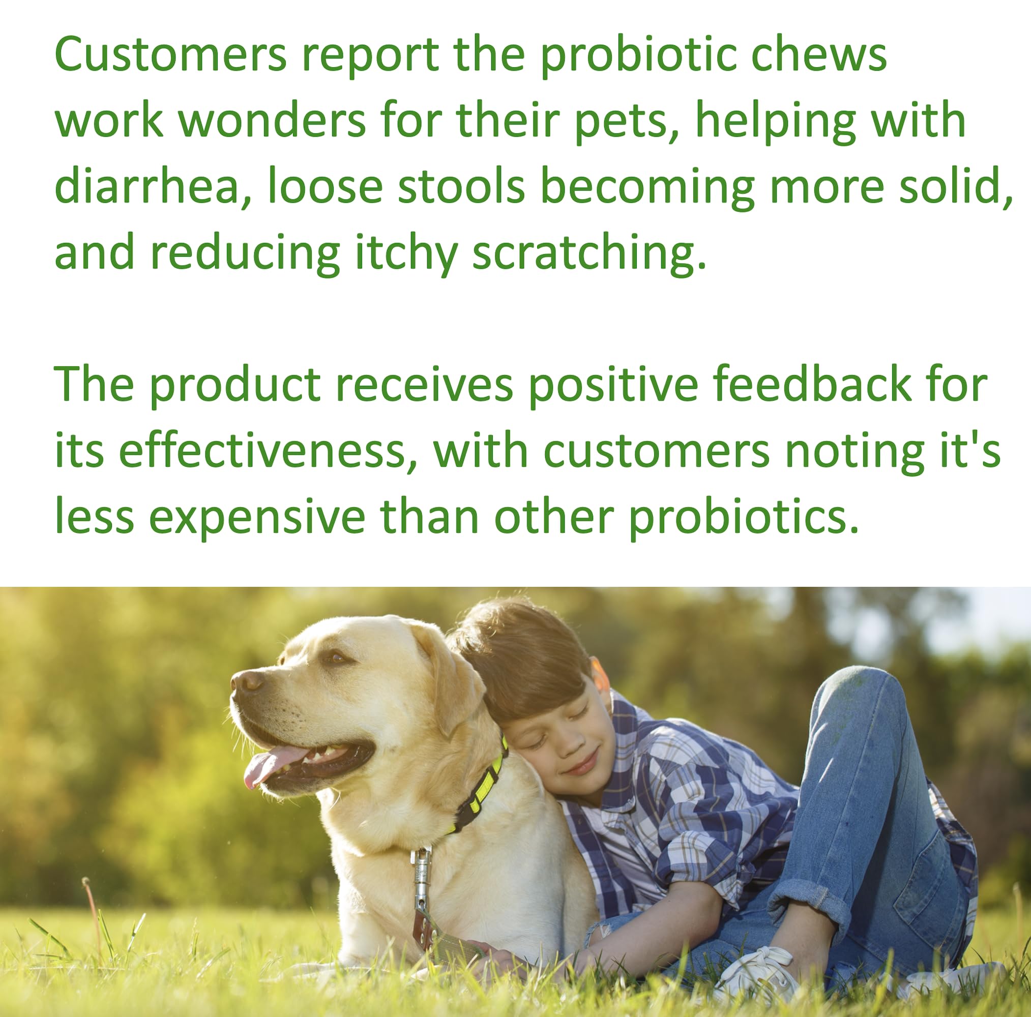 Perro feliz mordiendo una gominola de TummyWorks Probiotics