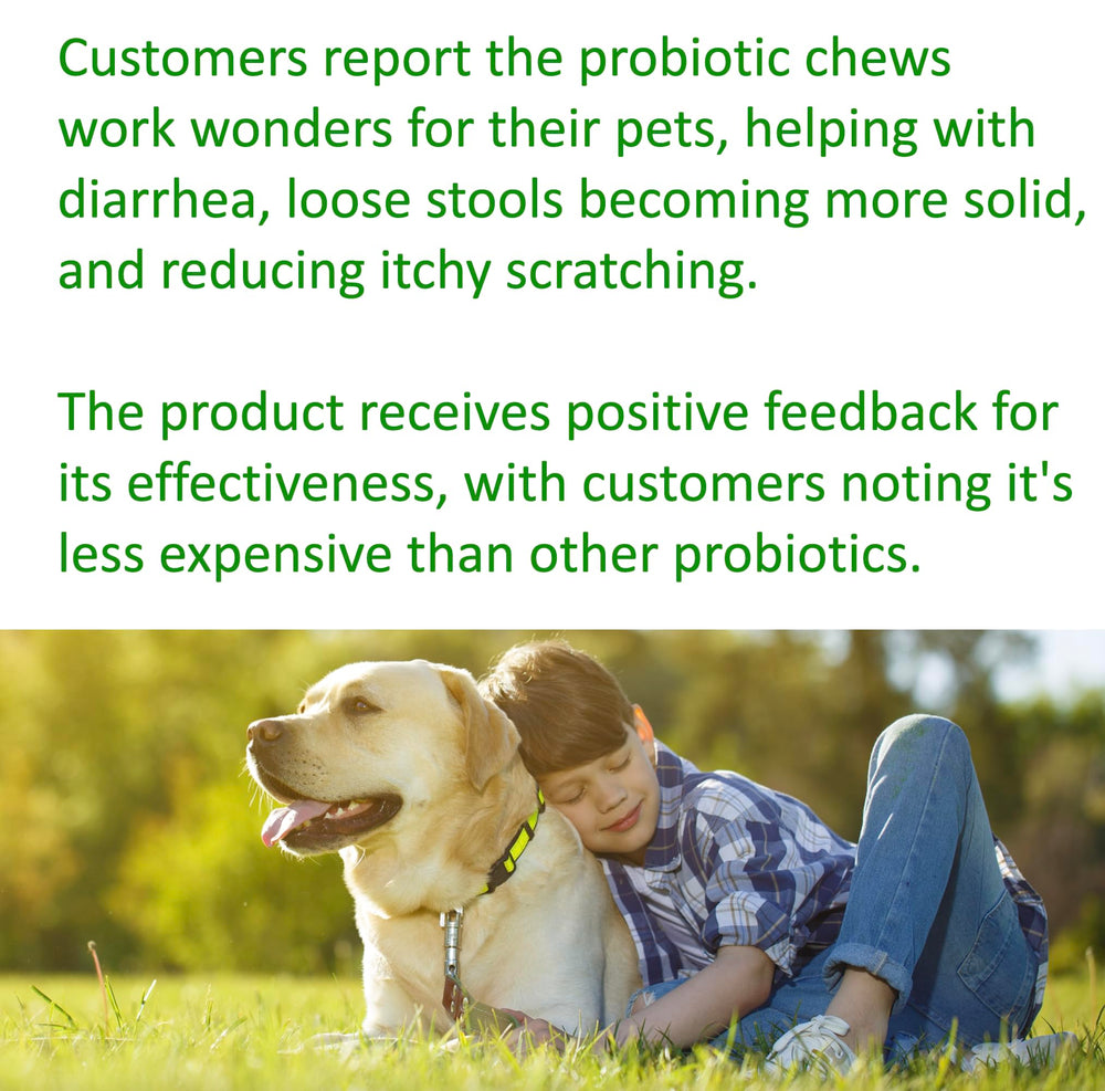Perro feliz mordiendo una gominola de TummyWorks Probiotics