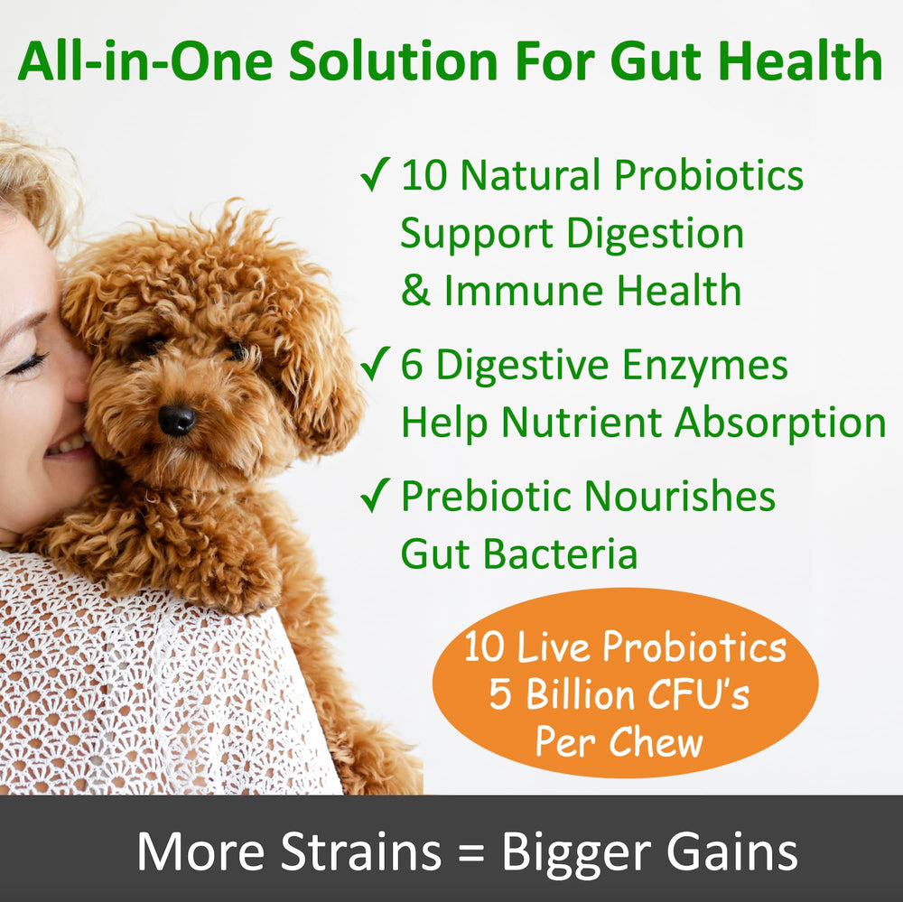 Golosinas suaves TummyWorks Probiotics, sabor pollo, para uso diario de perros