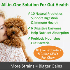 Golosinas suaves TummyWorks Probiotics, sabor pollo, para uso diario de perros