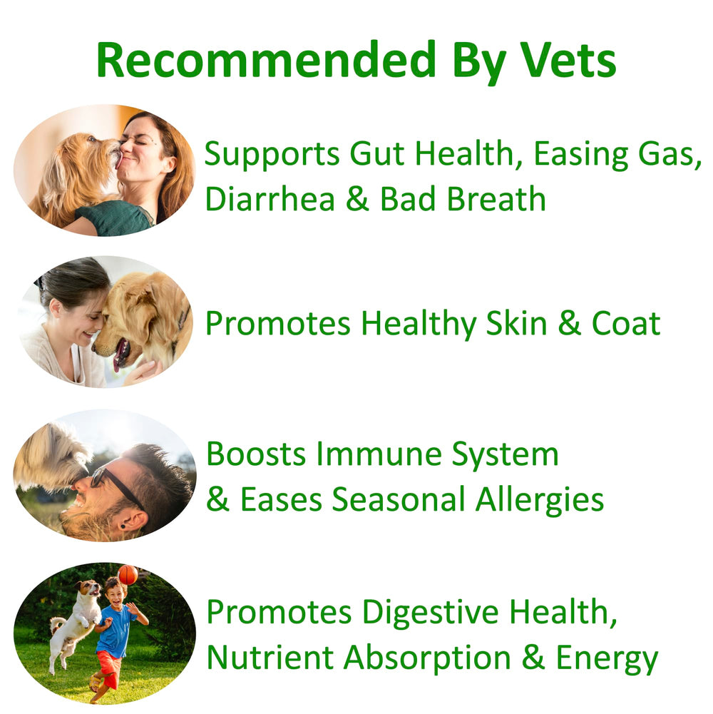 Golosinas de pollo TummyWorks Probiotics, textura atractiva para perros exigentes