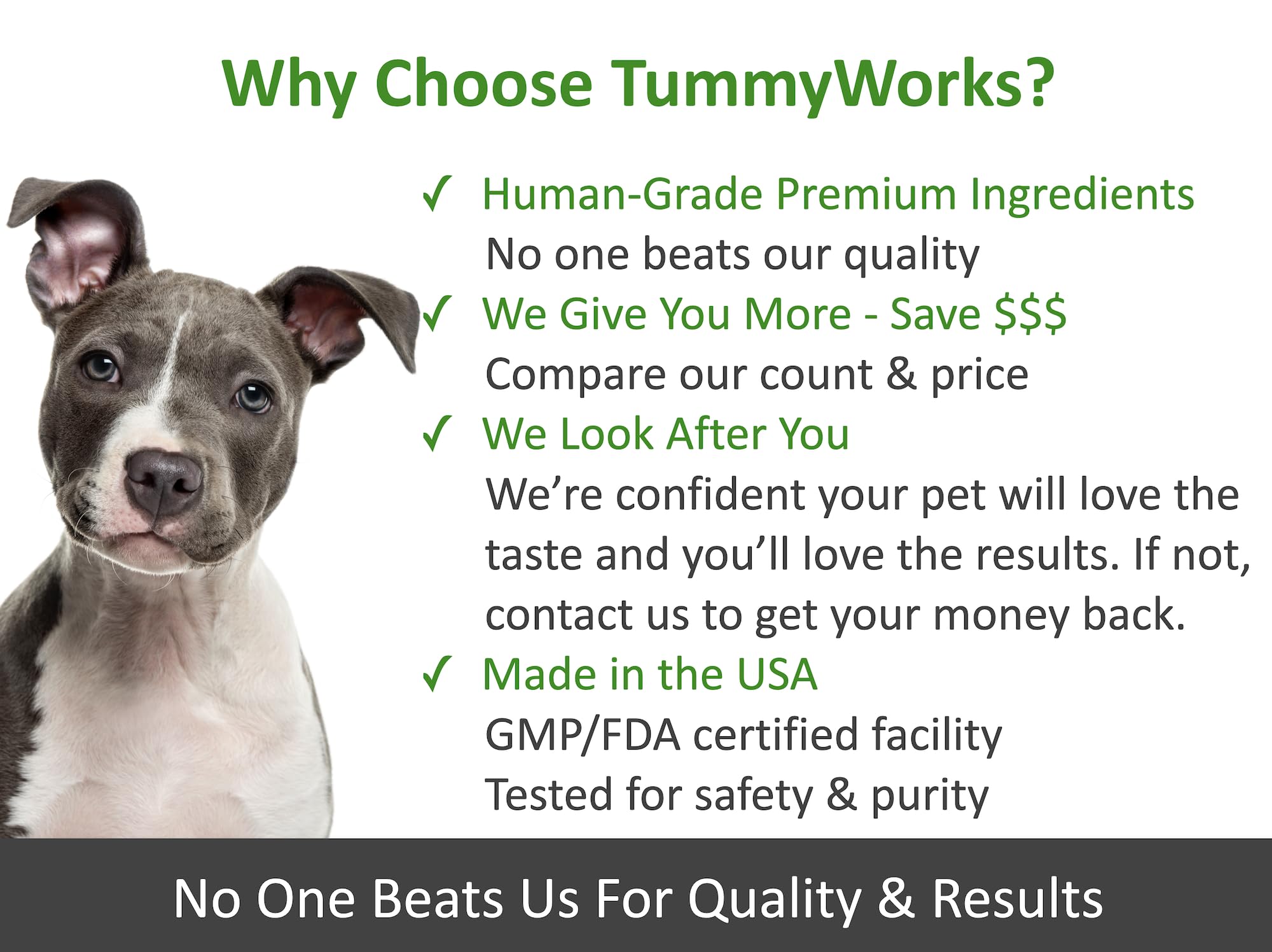 Tarro de TummyWorks Probiotics con 120 gominolas para perros