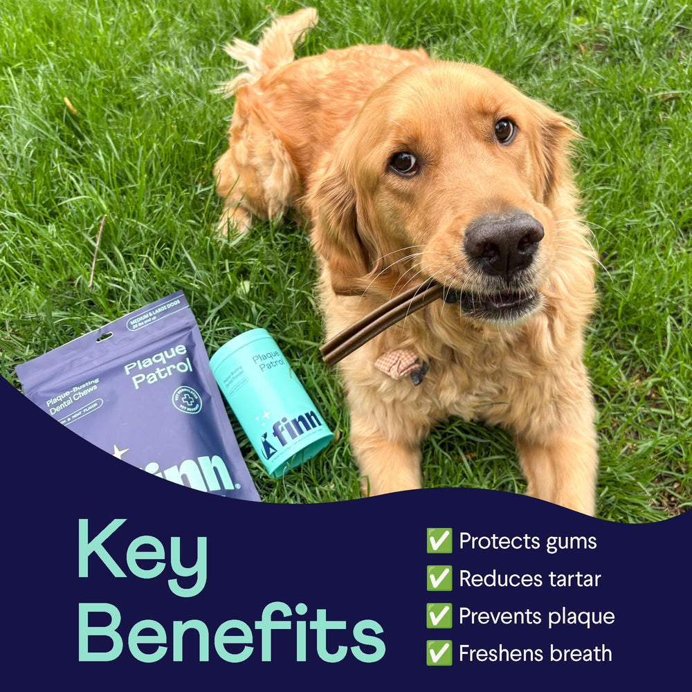 Finn polvo dental para perros, aplicación en comida para higiene bucal