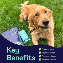 Finn polvo dental para perros, aplicación en comida para higiene bucal