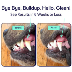 Finn polvo dental para perros, textura fina para mezclar con la comida