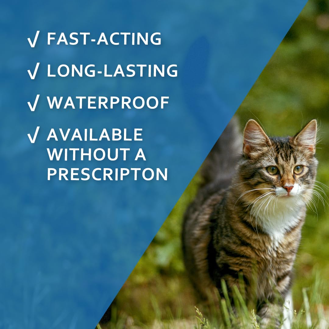 Aplicadores Fiproguard para gatos, seis unidades, para protección continua contra pulgas.