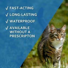 Aplicadores Fiproguard para gatos, seis unidades, para protección continua contra pulgas.
