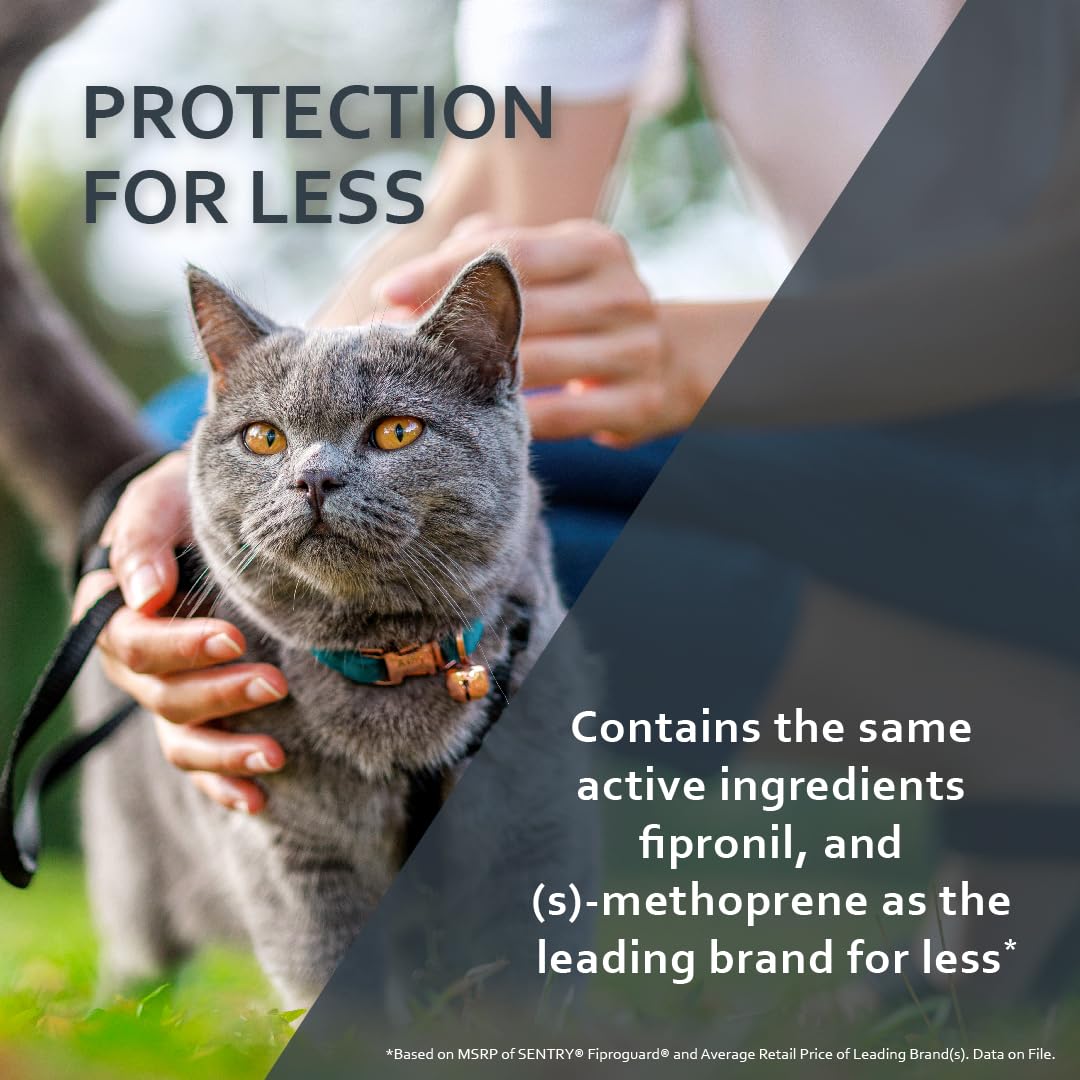 Fiproguard protege contra garrapatas, opción de uso mensual para gatos.