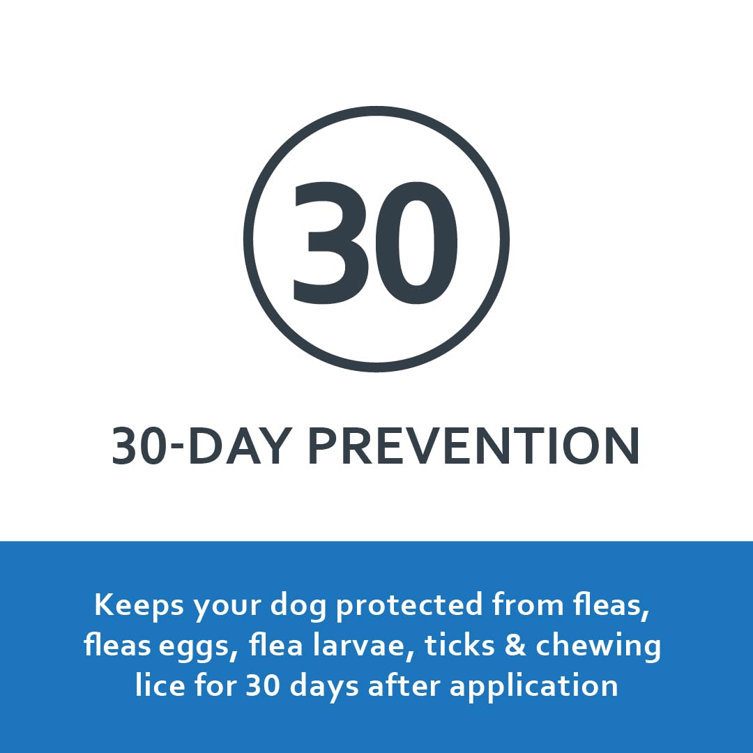 FIPROGUARD: efecto rapido y duradero para pulgas y garrapatas.