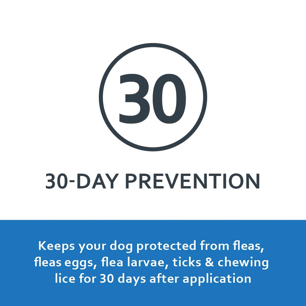 Fiproguard: prevención de garrapatas y pulgas en perros