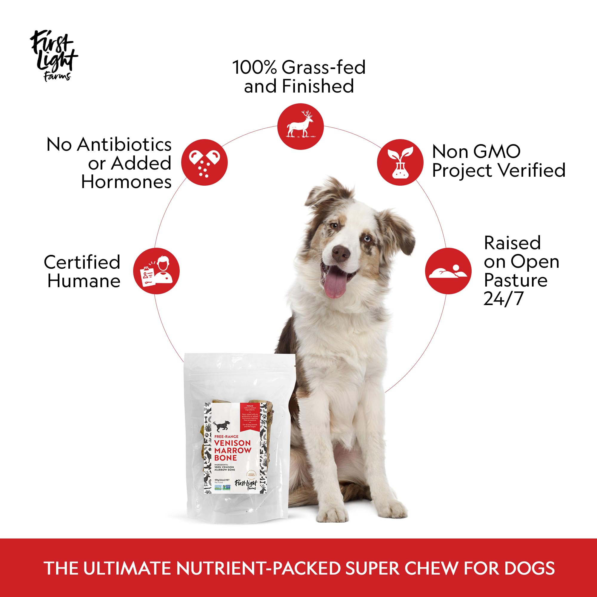 First Light: hueso tuétano de venado opción hipoalergénica para perros sensibles